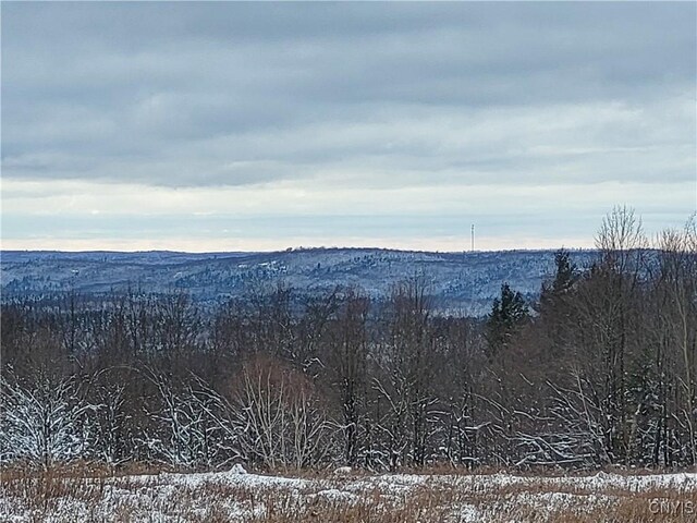 00 Ridge Rd, Fine, NY 13639