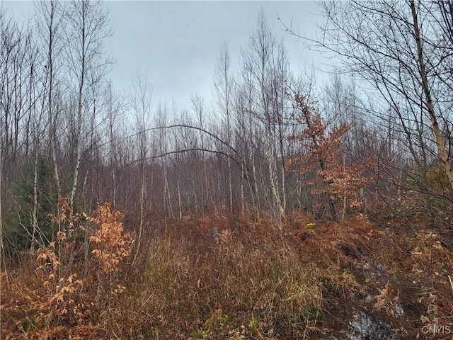 00 Ridge Rd, Fine, NY 13639