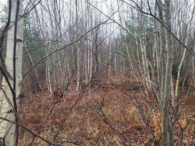 00 Ridge Rd, Fine, NY 13639
