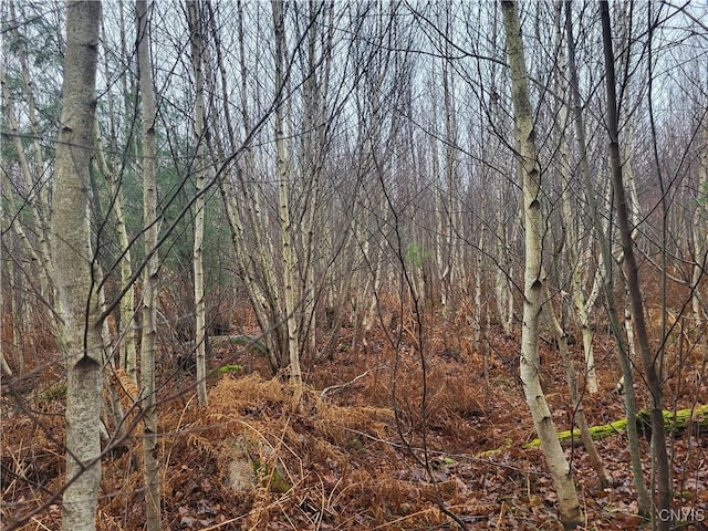 00 Ridge Rd, Fine, NY 13639