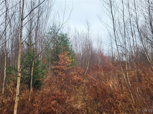 00 Ridge Rd, Fine, NY 13639