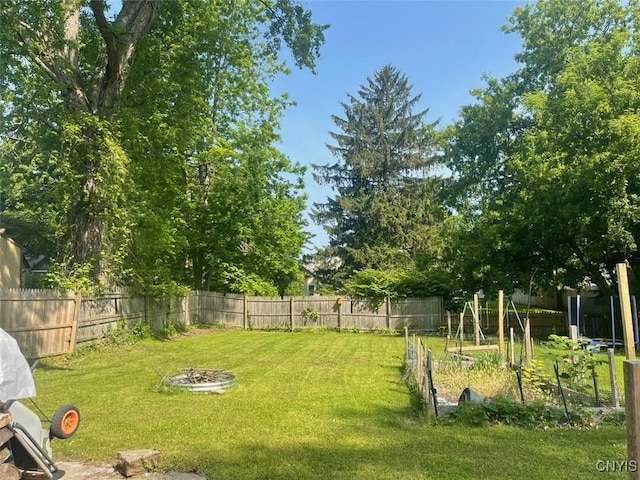 207 E Elm St, Oneida-Inside, NY 13421 - view of yard featuring a garden and a fire pit