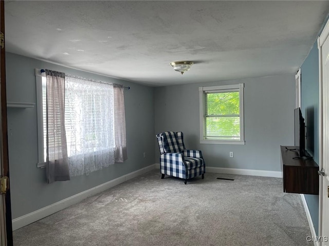 207 E Elm St, Oneida-Inside, NY 13421 - living area featuring carpet flooring and baseboards