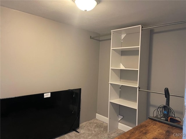 207 E Elm St, Oneida-Inside, NY 13421 - walk in closet with carpet
