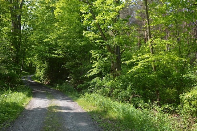 0 Caton Rd, Caton, NY 14830