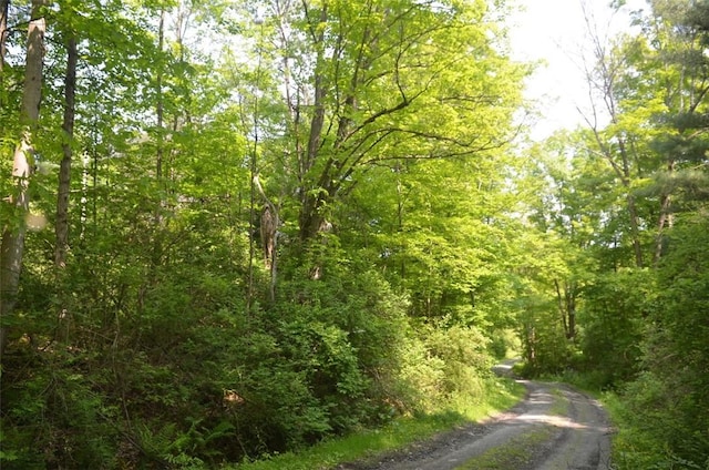 0 Caton Rd, Caton, NY 14830