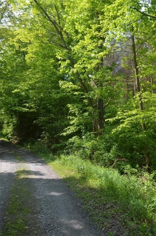 0 Caton Rd, Caton, NY 14830