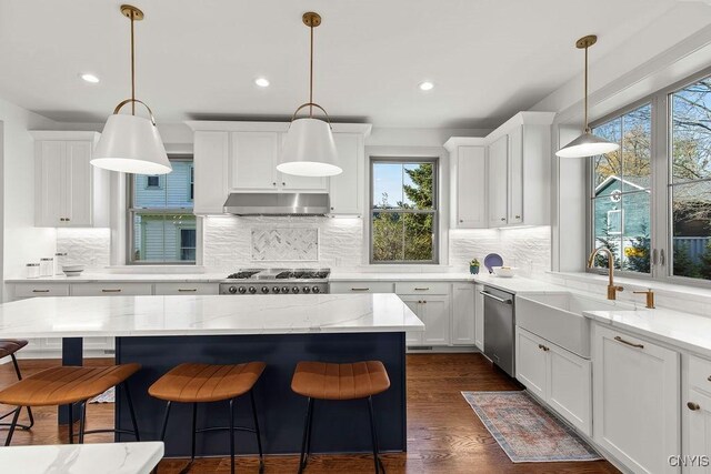 149 E Genesee St, Skaneateles, NY 13152 - kitchen with dishwasher, healthy amount of natural light, a sink, exhaust hood, and recessed lighting
