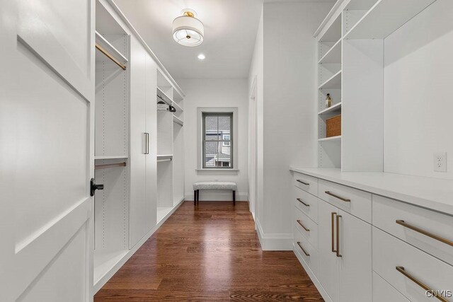 149 E Genesee St, Skaneateles, NY 13152 - spacious closet with dark wood-style floors