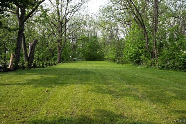 149 E Genesee St, Skaneateles, NY 13152 - view of grassy yard