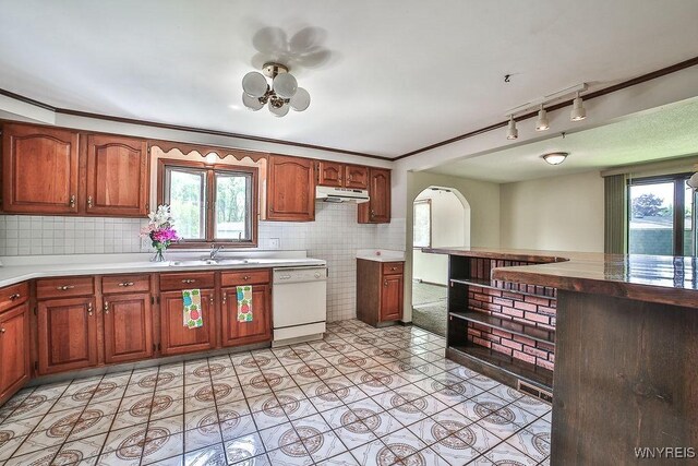 831 W Gebhard Ln, Alden, NY 14004 - kitchen with dishwasher, under cabinet range hood, a sink, healthy amount of natural light, and ornamental molding