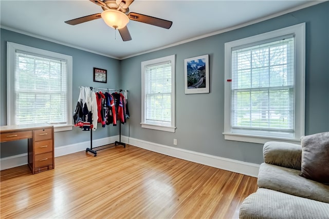 2550 E Ave, Brighton, NY 14610 - office space with plenty of natural light, light wood-style floors, ceiling fan, and ornamental molding