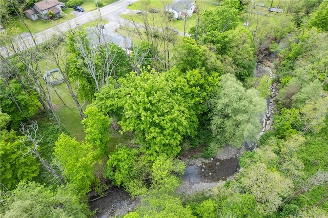 27 Langford St, Van Etten, NY 14889 - photo 39