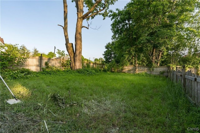 117 Flower Ave W, Watertown City, NY 13601 - photo 42