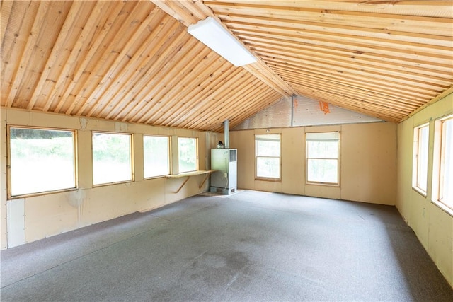 7848 Cold Springs Rd, Urbana, NY 14810 - unfurnished living room with lofted ceiling, wood ceiling, and carpet flooring