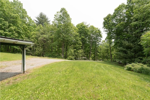 7848 Cold Springs Rd, Urbana, NY 14810 - view of grassy yard