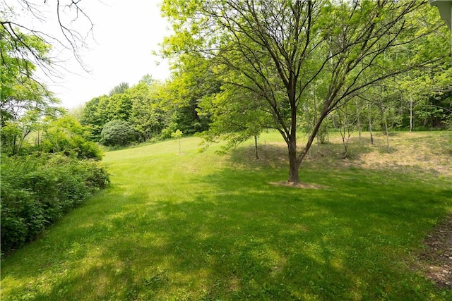 7848 Cold Springs Rd, Urbana, NY 14810 - view of green lawn