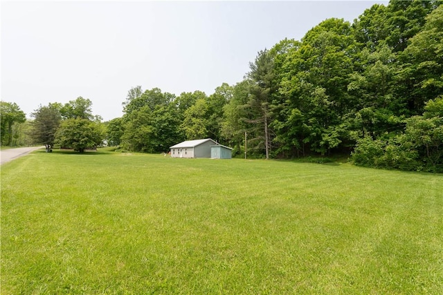 7848 Cold Springs Rd, Urbana, NY 14810 - view of grassy yard with an outbuilding and a forest view