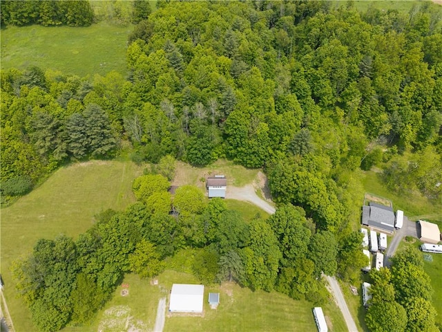 7848 Cold Springs Rd, Urbana, NY 14810 - aerial view of a heavily wooded area