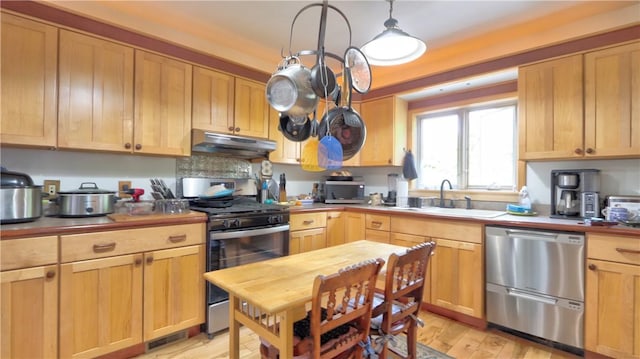 51 Sherrill St Unit 1, Geneva-City, NY 14456 - kitchen with stainless steel appliances, under cabinet range hood, a sink, and light wood-style flooring