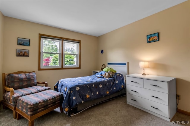 25 5th Ave, Amherst, NY 14221 - bedroom featuring light colored carpet