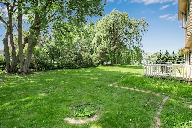 25 5th Ave, Amherst, NY 14221 - view of grassy yard with a wooden deck