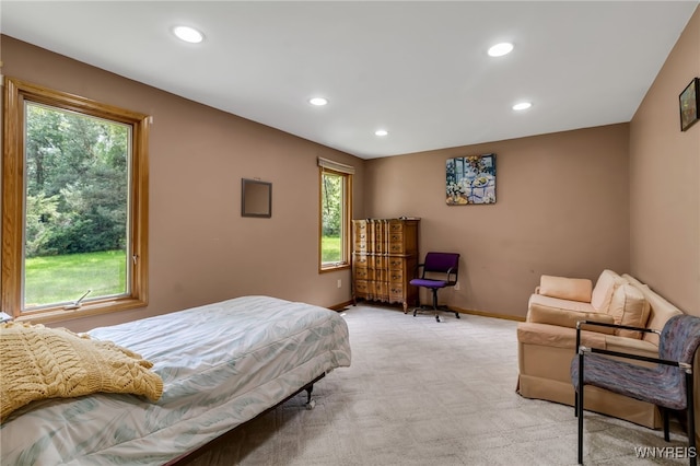25 5th Ave, Amherst, NY 14221 - bedroom featuring multiple windows, recessed lighting, light carpet, and baseboards