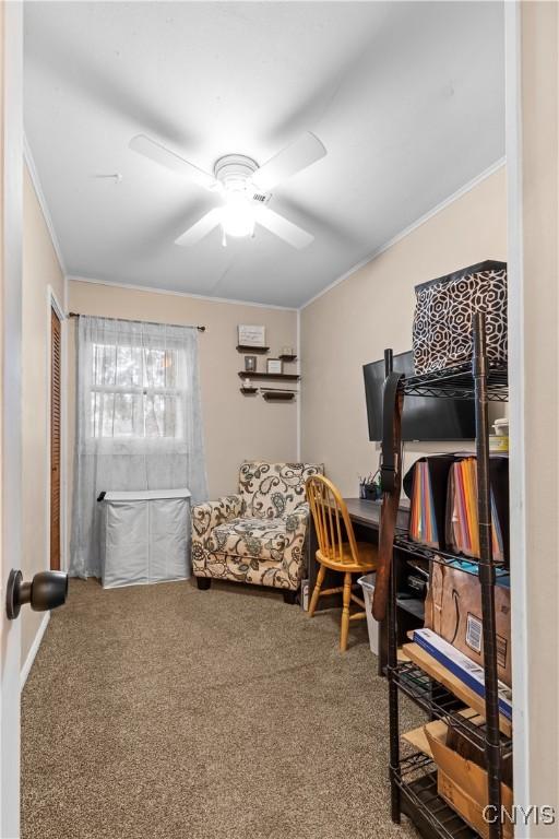37 Waterbury Dr, Clay, NY 13212 - photo 23