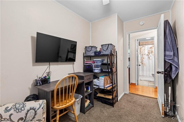 37 Waterbury Dr, Clay, NY 13212 - photo 22