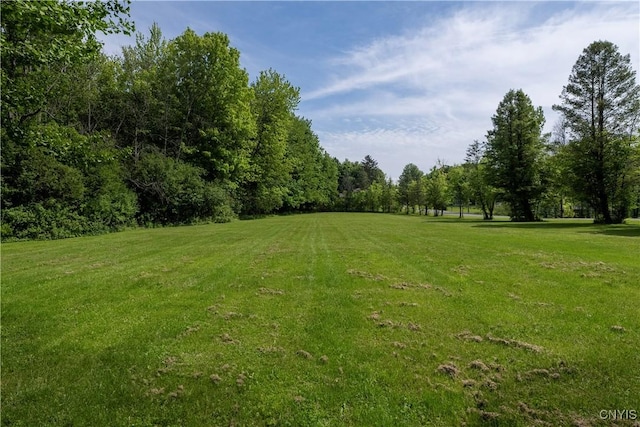 582 County Route 25, Minetto, NY 13126 - photo 48