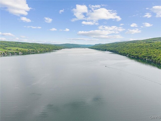 2024 Lower Burma Rd, Spafford, NY 13152