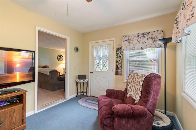 141 W Pearl St, Arcadia, NY 14513 - sitting room with carpet floors, plenty of natural light, and baseboards