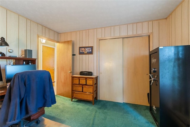 141 W Pearl St, Arcadia, NY 14513 - office area with carpet flooring and wooden walls