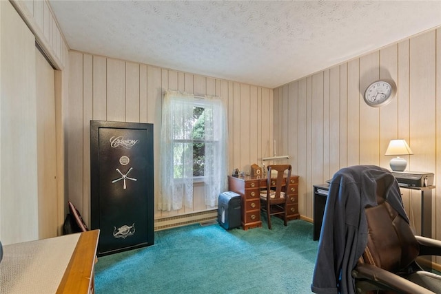 141 W Pearl St, Arcadia, NY 14513 - office featuring carpet, a baseboard radiator, a textured ceiling, and wooden walls