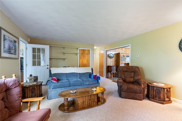 141 W Pearl St, Arcadia, NY 14513 - living area with carpet floors