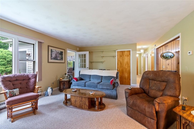 141 W Pearl St, Arcadia, NY 14513 - living area with carpet and baseboards