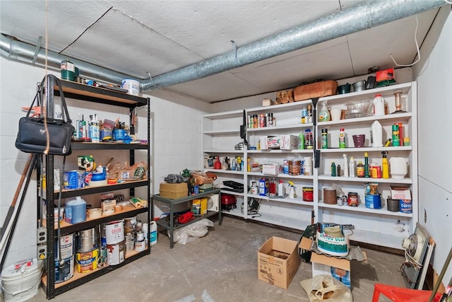 141 W Pearl St, Arcadia, NY 14513 - view of storage