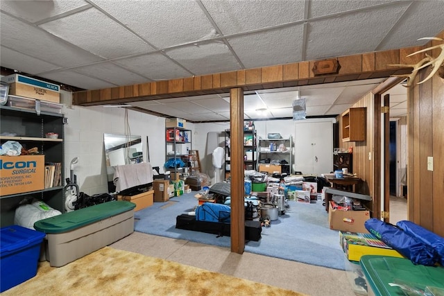 141 W Pearl St, Arcadia, NY 14513 - finished basement featuring a paneled ceiling and carpet