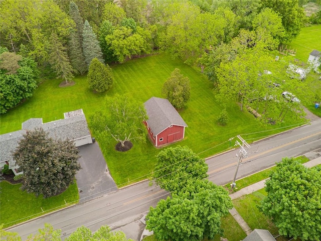 141 W Pearl St, Arcadia, NY 14513 - drone / aerial view