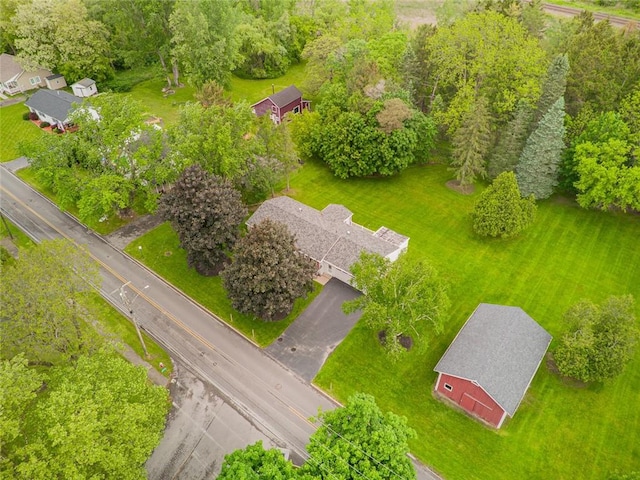 141 W Pearl St, Arcadia, NY 14513 - drone / aerial view