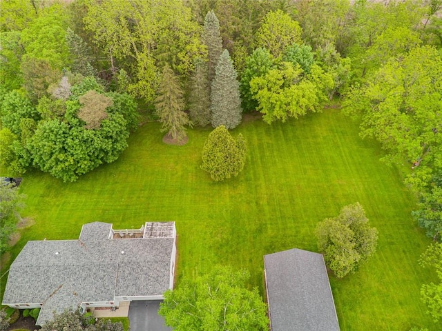 141 W Pearl St, Arcadia, NY 14513 - view of subject property