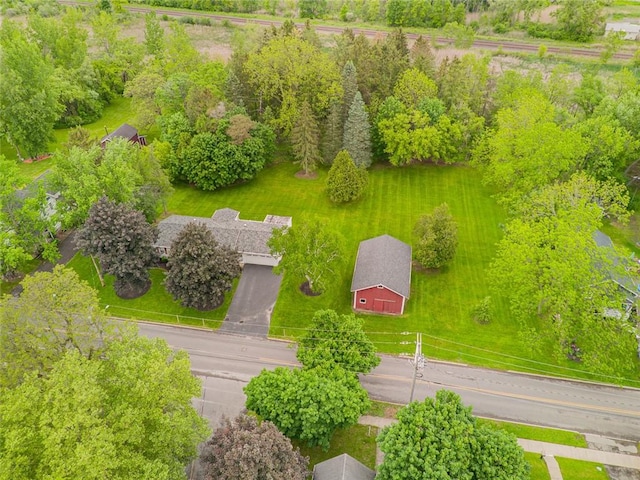 141 W Pearl St, Arcadia, NY 14513 - bird's eye view of a tree filled landscape