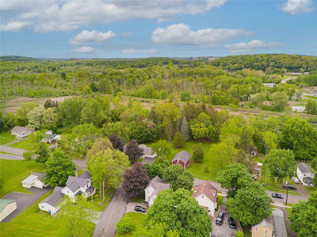 141 W Pearl St, Arcadia, NY 14513 - aerial view of residential area with a heavily wooded area