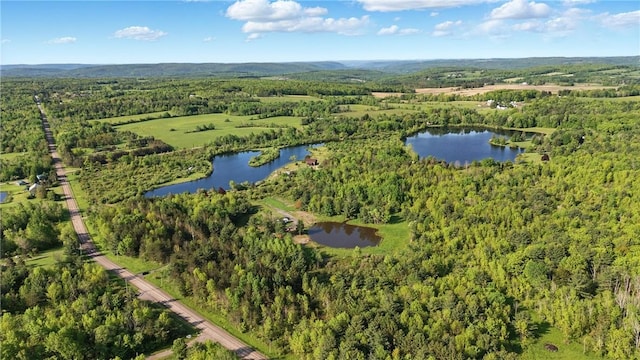 11231 Gloades Corners Rd, Pulteney, NY 14873 - photo 1