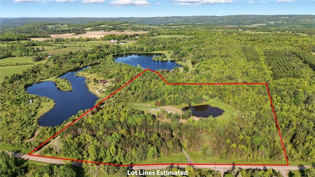 11231 Gloades Corners Rd, Pulteney, NY 14873 - photo 2