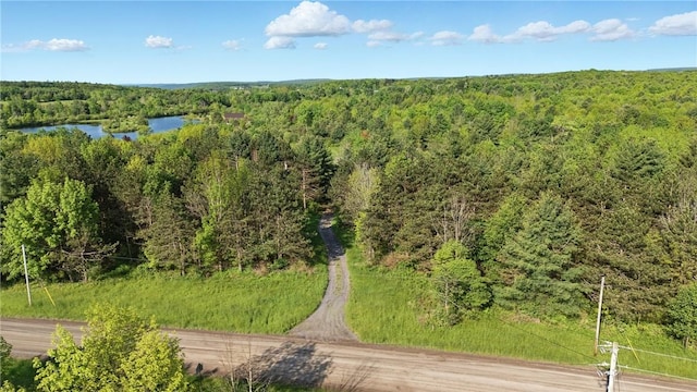 11231 Gloades Corners Rd, Pulteney, NY 14873 - photo 3