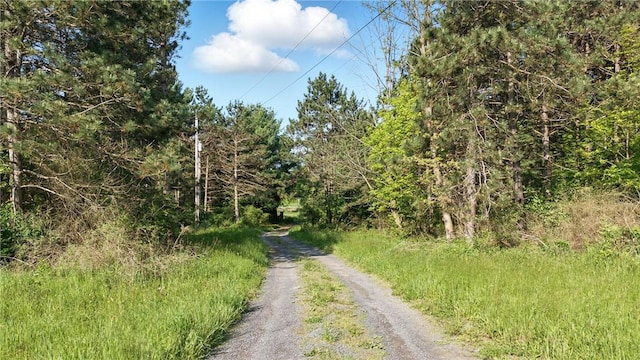 11231 Gloades Corners Rd, Pulteney, NY 14873 - photo 4