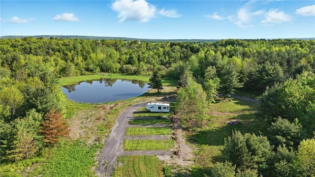 11231 Gloades Corners Rd, Pulteney, NY 14873 - photo 5