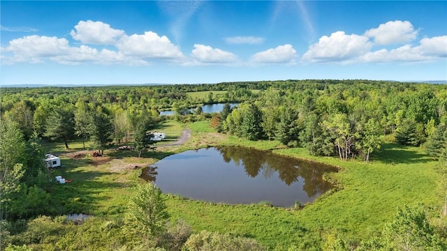11231 Gloades Corners Rd, Pulteney, NY 14873 - photo 7