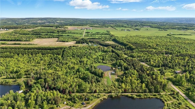 11231 Gloades Corners Rd, Pulteney, NY 14873 - photo 12
